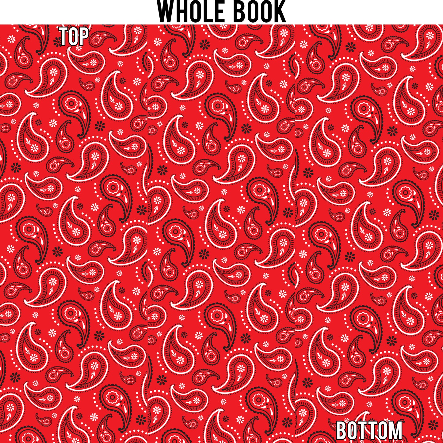 Paisley Edge Design